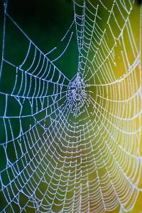 CC NC-ND John 'K' Flickr