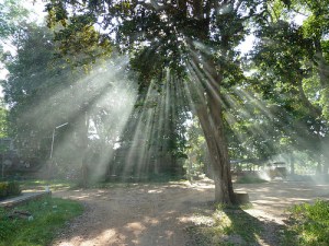 CC BY-NC, judithbluepool, Flickr