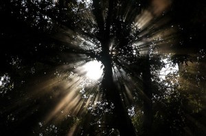 CC BY-NC, eatbitter, Flickr