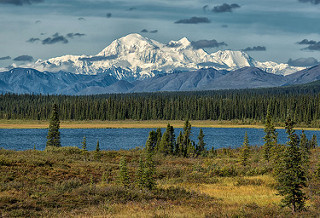 22878758705_ae7b1970e5_n