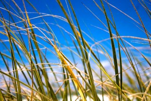 5440511855_78c643b6d8_z