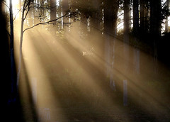 3236551472_bdd3c431ba_m